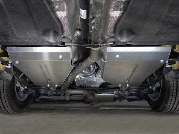 Защита бака (2 штуки, алюминий) TCC Volkswagen Tiguan Mk2 дорестайлинг (2016-2020)